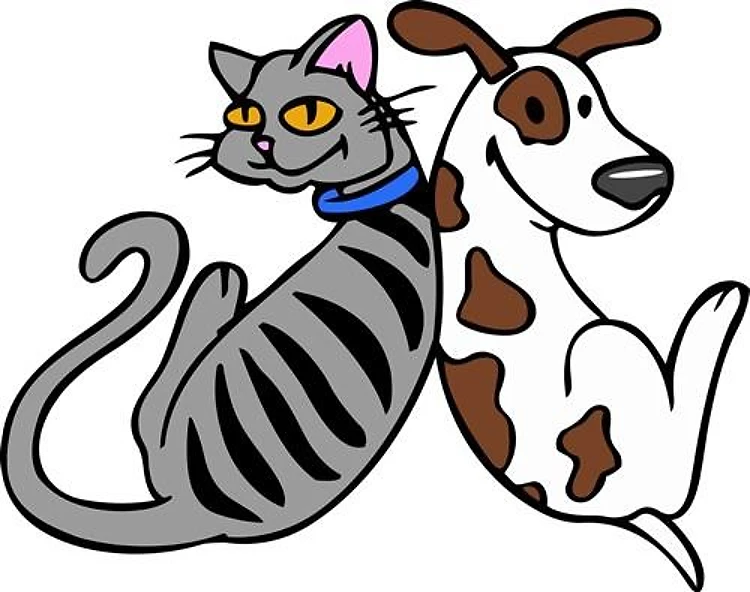CAT AND DOG