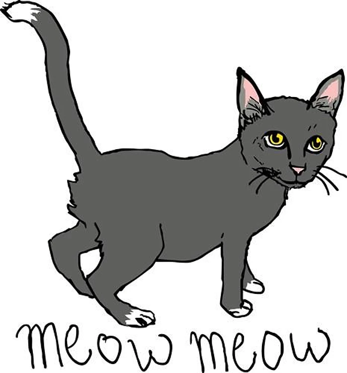 MEOW MEOW