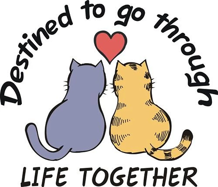 THROUGH LIFE TOGETHER