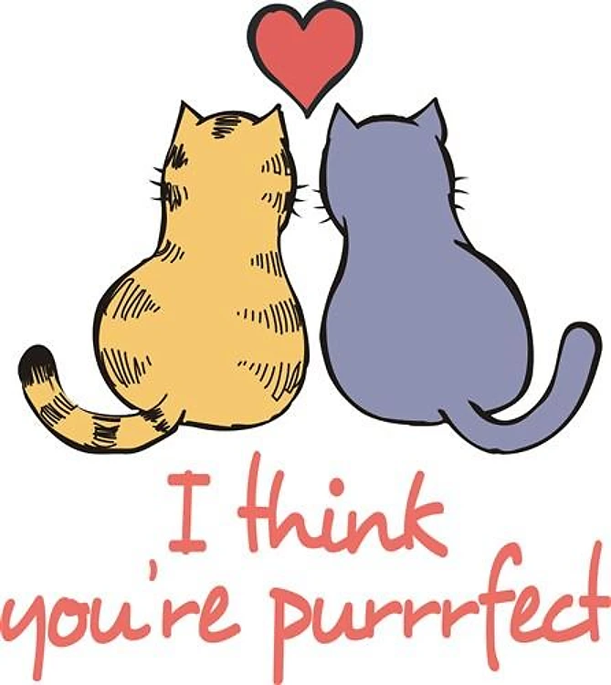 YOURE PURRFECT