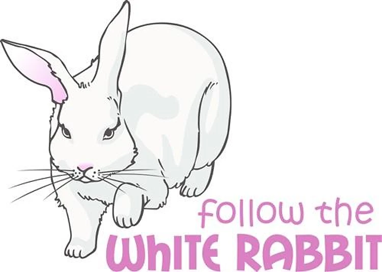 FOLLOW THE WHITE RABBIT