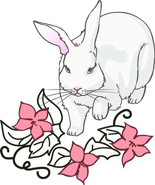 RABBIT IN FOWERS