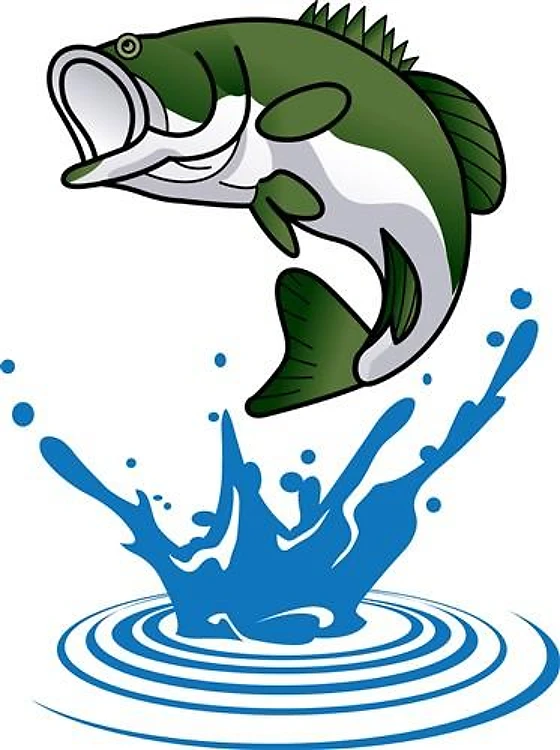 BASS JUMPING