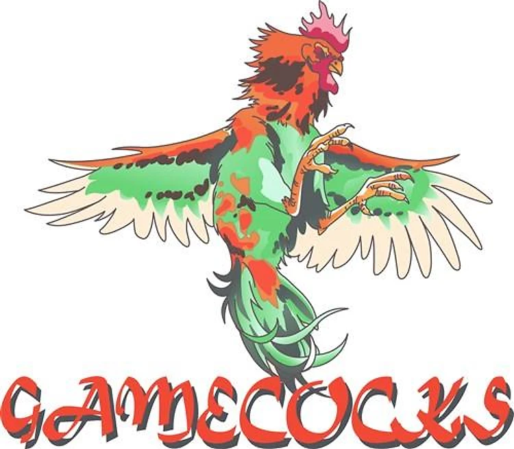 GAMECOCKS