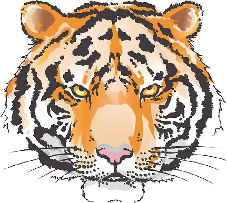 LARGE TIGER HEAD