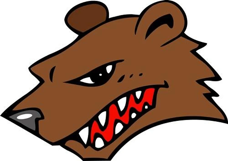 BEAR MASCOT