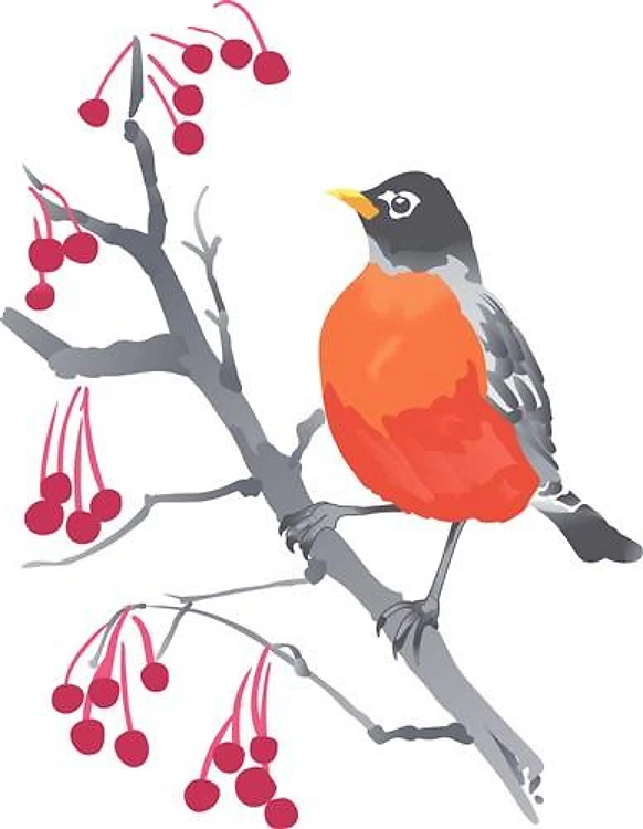 ROBIN AND BERRIES