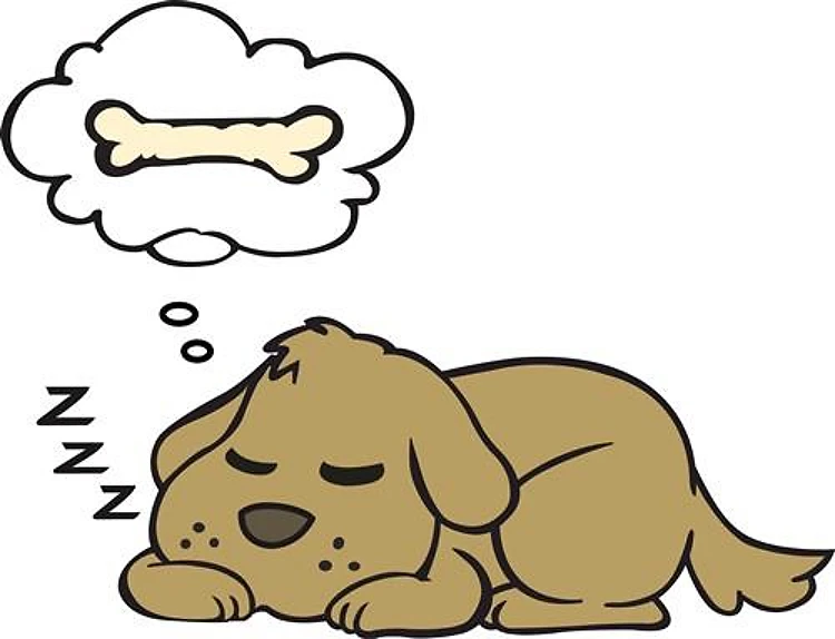 A DOGS DREAM