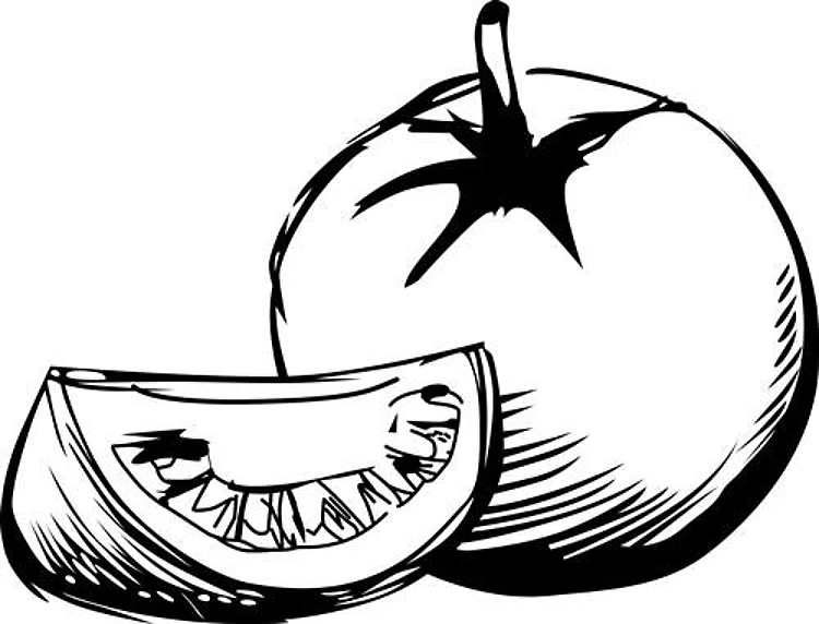 TOMATO