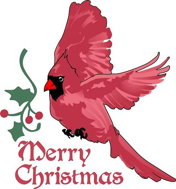 MERRY CHRISTMAS