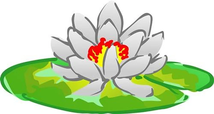 LOTUS
