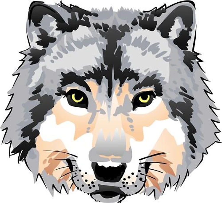 WOLFS HEAD