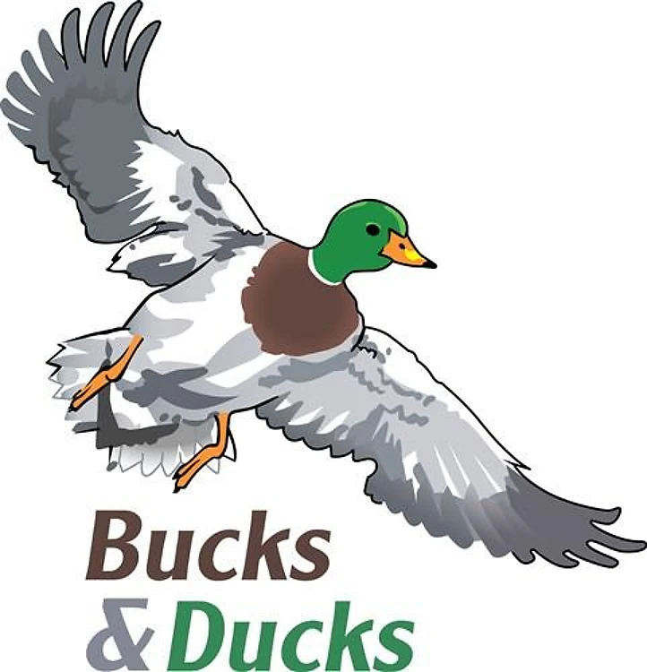 BUCKS AND DUCKS