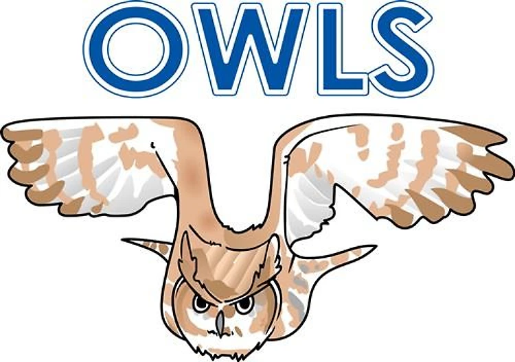 OWLS MASCOT