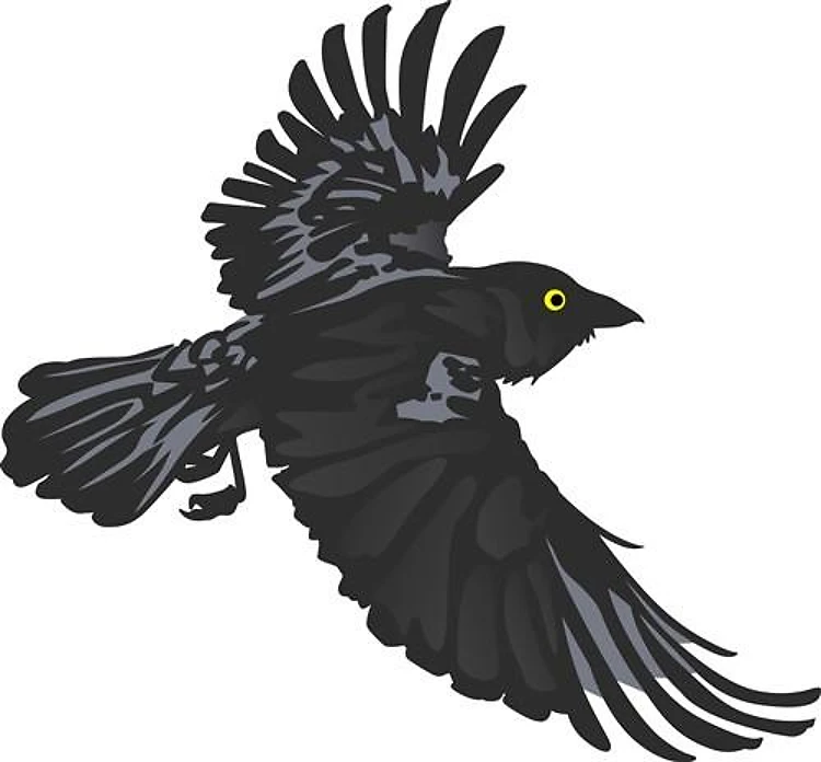 RAVEN