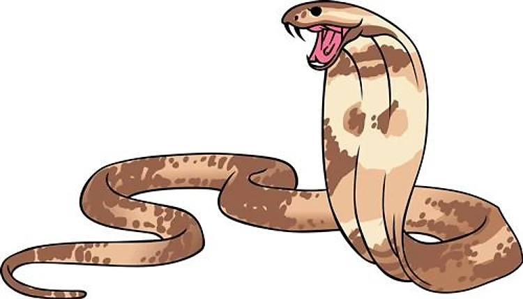 KING COBRA