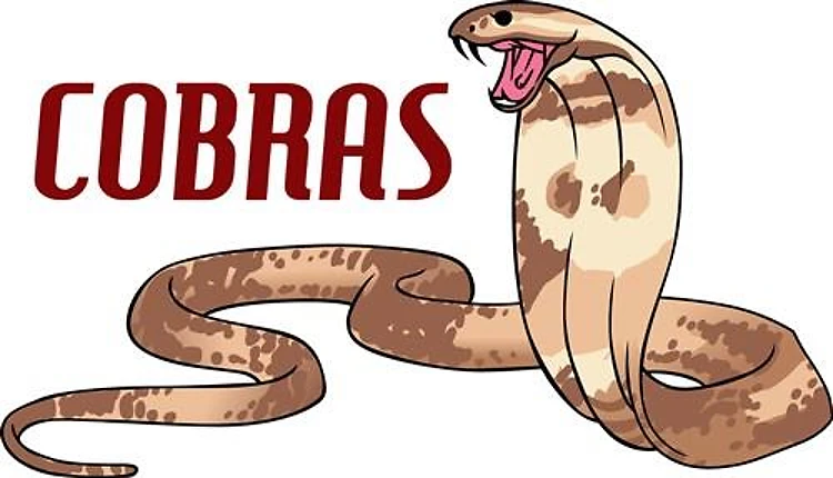 COBRAS