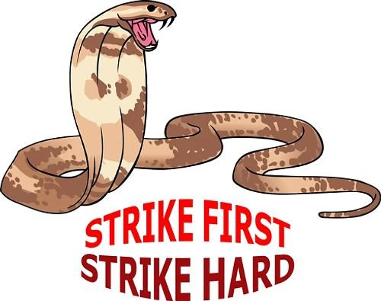 STRIKE FIRST STRIKE HARD