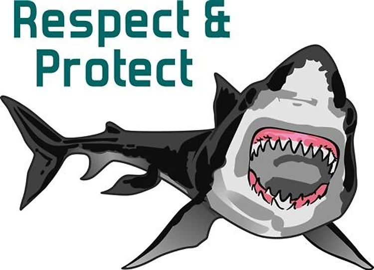 RESPECT AND PROTECT