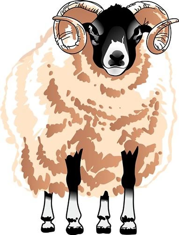RAM