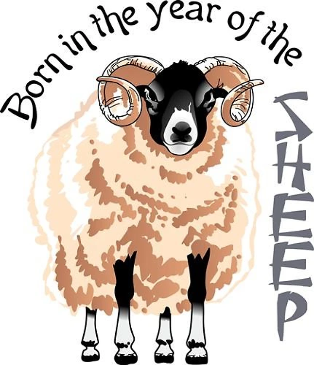 YEAR OF THE SHEEP