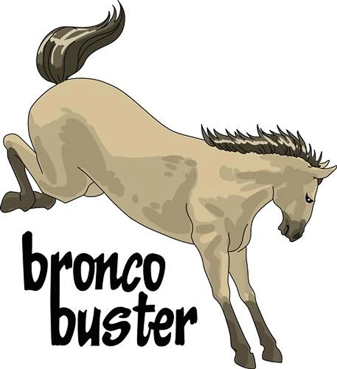BRONCO BUSTER