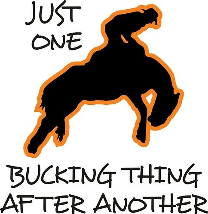 JUST ONE BUCKING THING