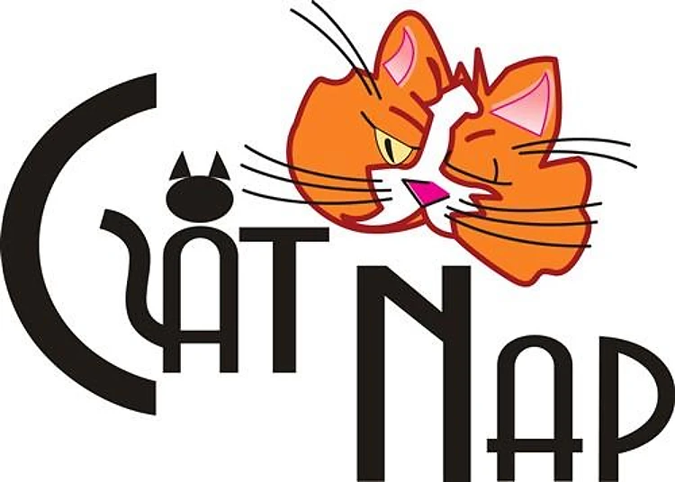 CAT NAP