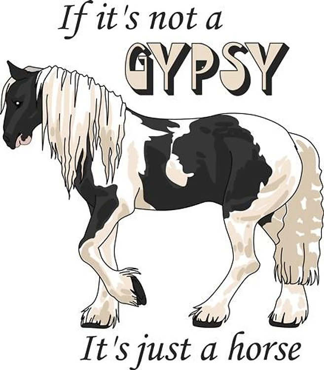IF ITS NOT A GYPSY