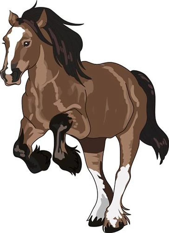 REARING DRAFT HORSE