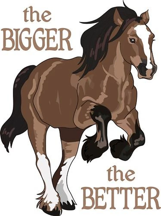 THE BIGGER THE BETTER