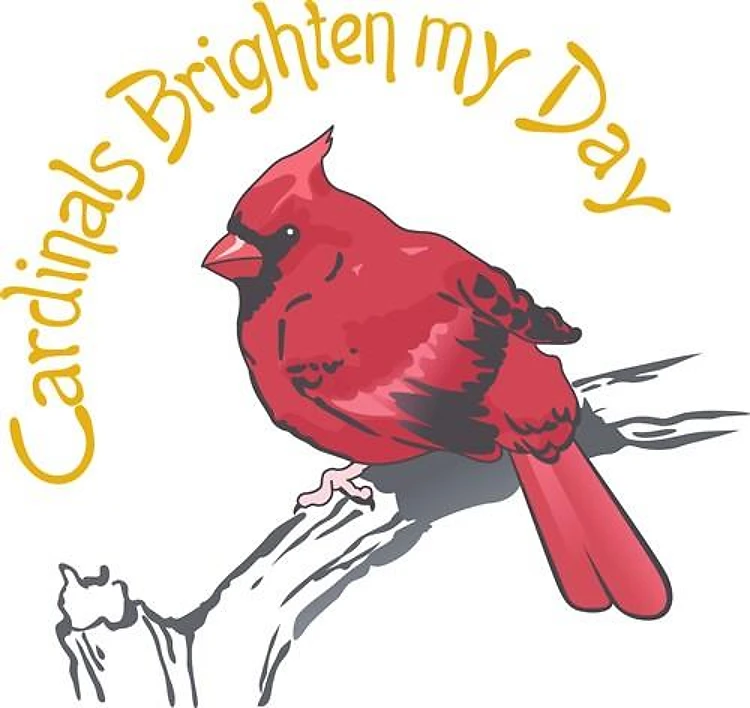 CARDINALS BRIGHTEN MY DAY
