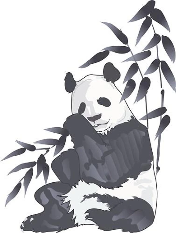 PANDA BEAR