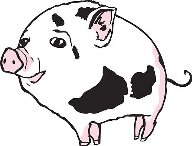 CUTE PIGLET