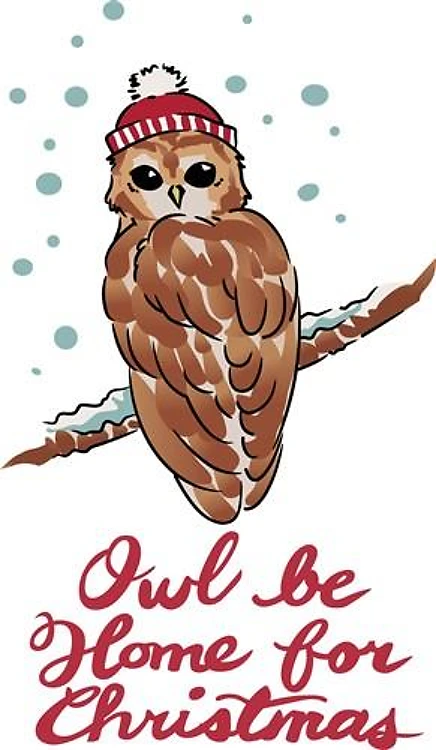 Owl Be Home