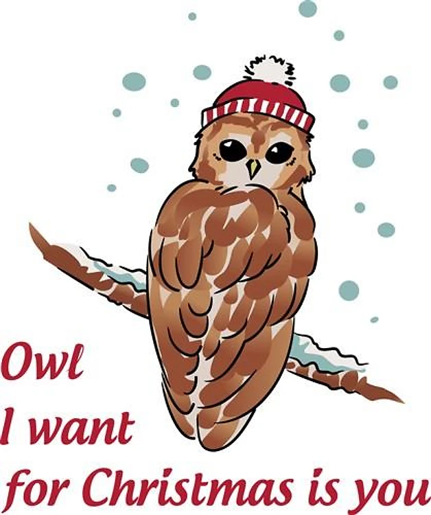 Owl I Want