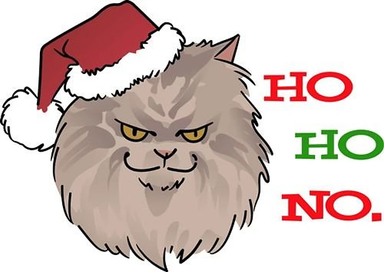 Cat Santa