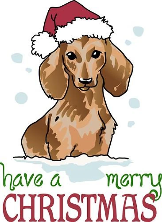 Have A Merry Christmas
