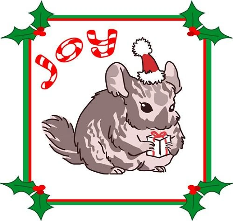 Chinchilla Joy
