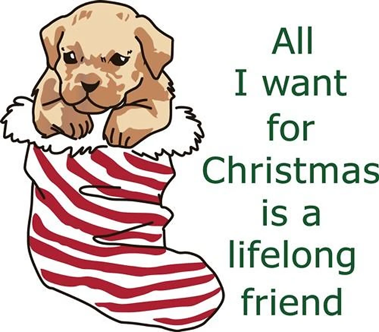 Lifelong Friend