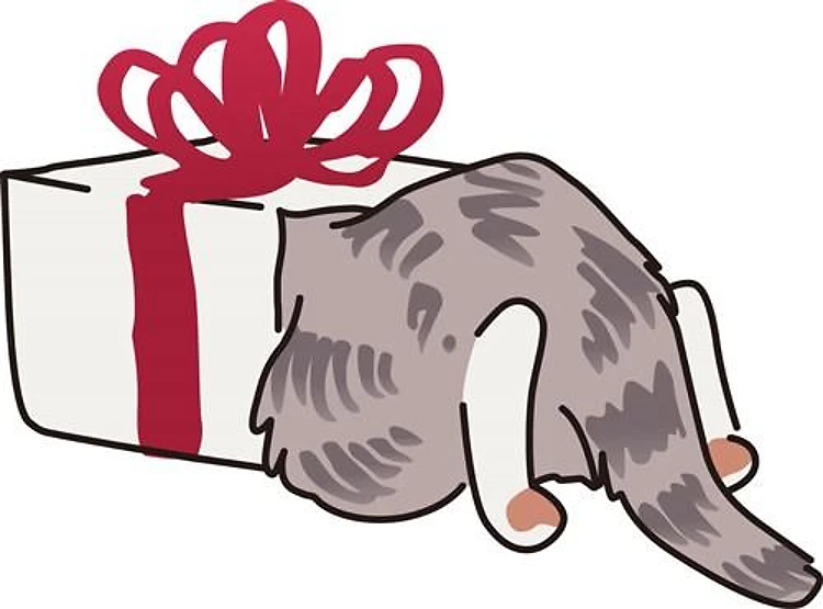 Cat In Box