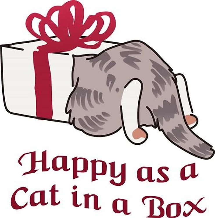 Happy As Cat In Box