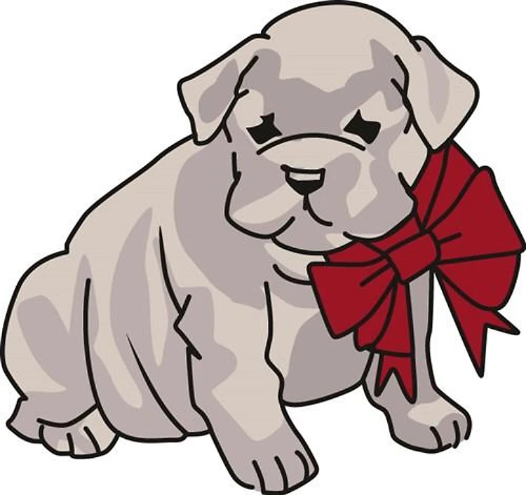 Bulldog Puppy