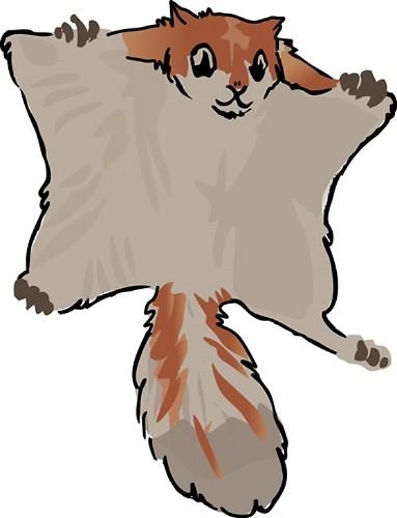 Flying Squirrel