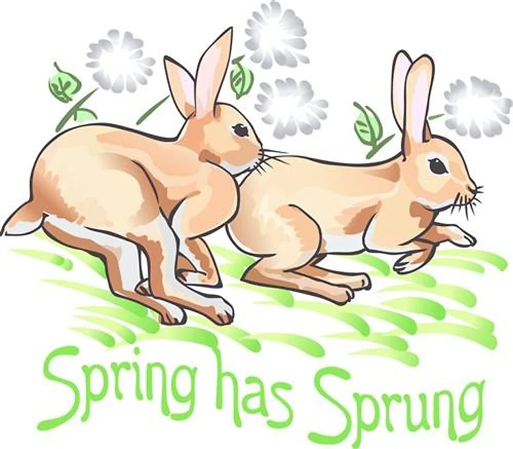 SPRING HAS SPRUNG