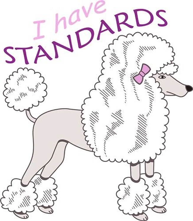 I HAVE STANDARDS
