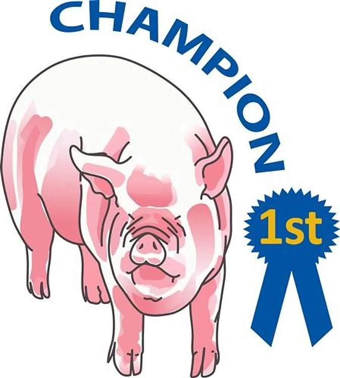 PIG CHAMPION