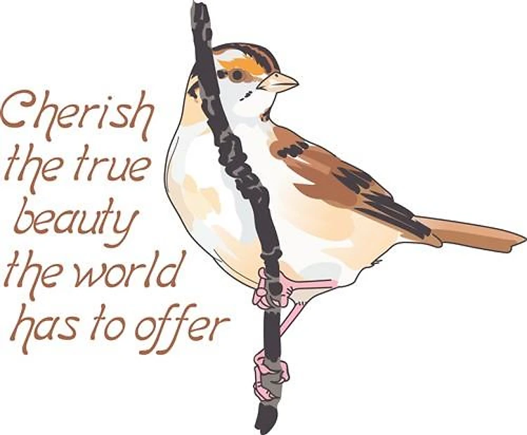 CHERISH TRUE BEAUTY