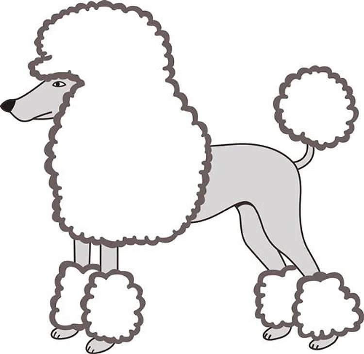 LARGE POODLE APPLIQUE