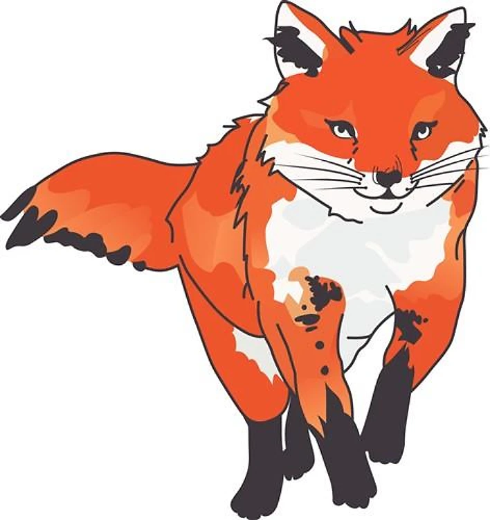 RED FOX